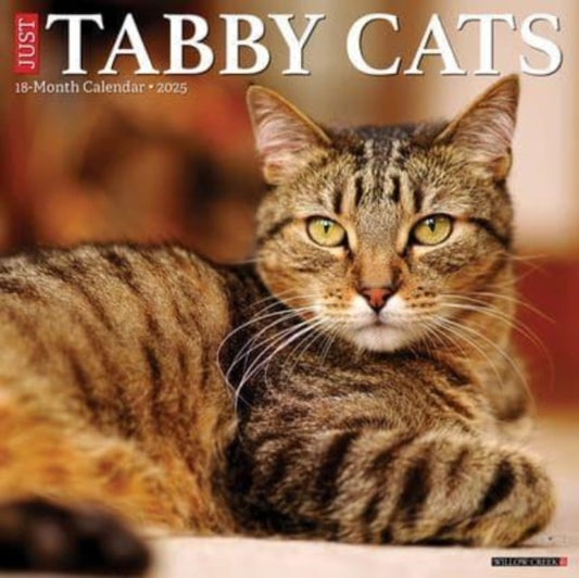Just Tabby Cats 2025 12 X 12 Wall Calendar-9781549245060