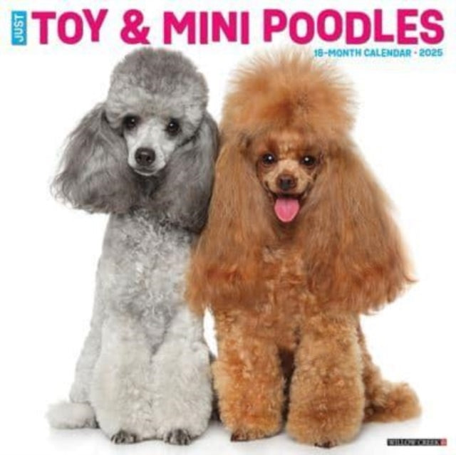 Just Toy & Miniature Poodles 2025 12 X 12 Wall Calendar-9781549245145