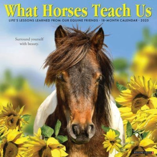 What Horses Teach Us 2025 12 X 12 Wall Calendar-9781549245381