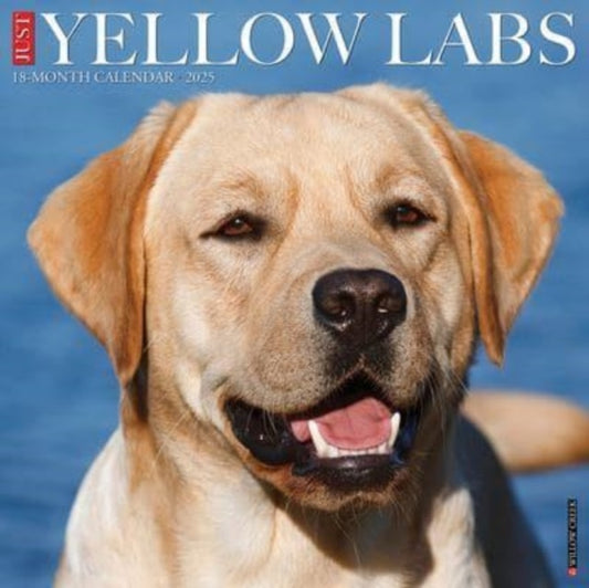 Just Yellow Labs 2025 12 X 12 Wall Calendar-9781549245534