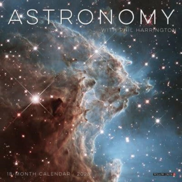 Astronomy 2025 7 X 7 Mini Wall Calendar-9781549245640