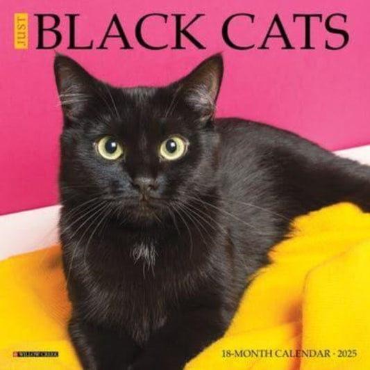 Just Black Cats 2025 7 X 7 Mini Wall Calendar-9781549245671