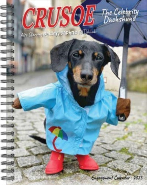 Crusoe the Celebrity Dachshund 2025 6.5 X 8.5 Engagement Calendar-9781549246111