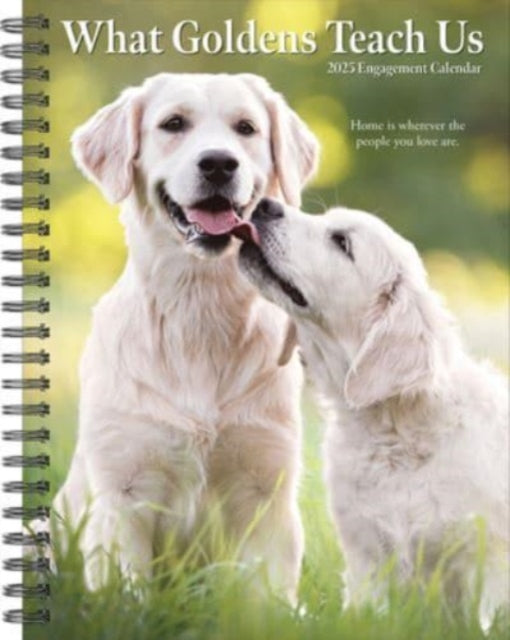 What Goldens Teach Us 2025 6.5 X 8.5 Engagement Calendar-9781549246197