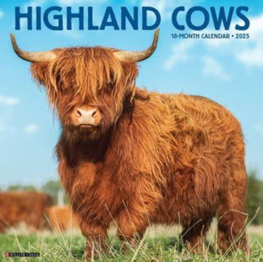 Highland Cows 2025 12 X 12 Wall Calendar-9781549246432