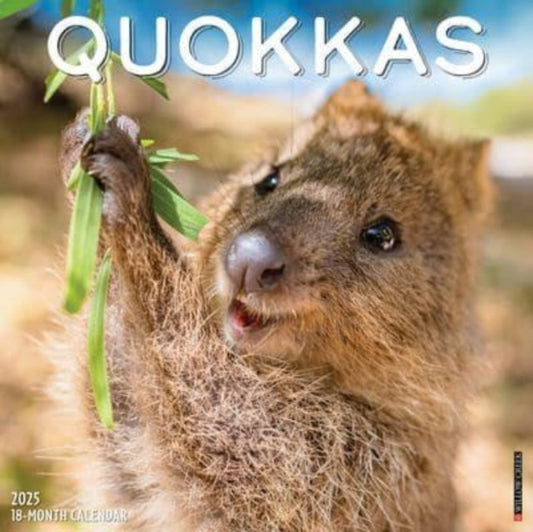 Quokkas 2025 12 X 12 Wall Calendar-9781549246562