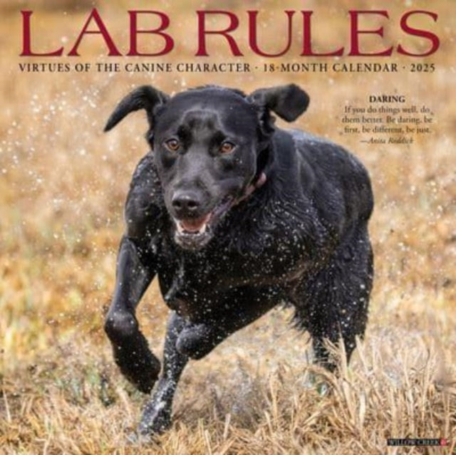 Lab Rules 2025 12 X 12 Wall Calendar-9781549246777