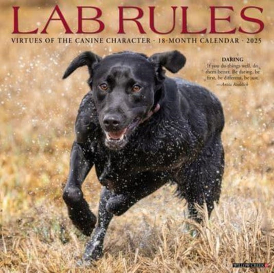 Lab Rules 2025 12 X 12 Wall Calendar-9781549246777
