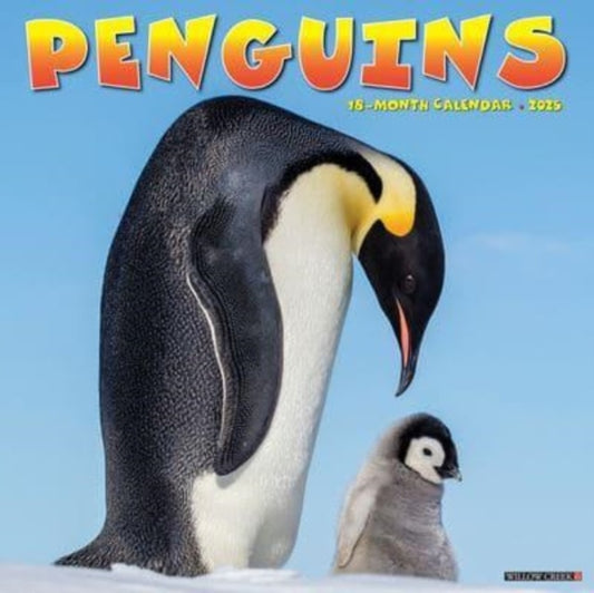 Penguins 2025 12 X 12 Wall Calendar-9781549246784