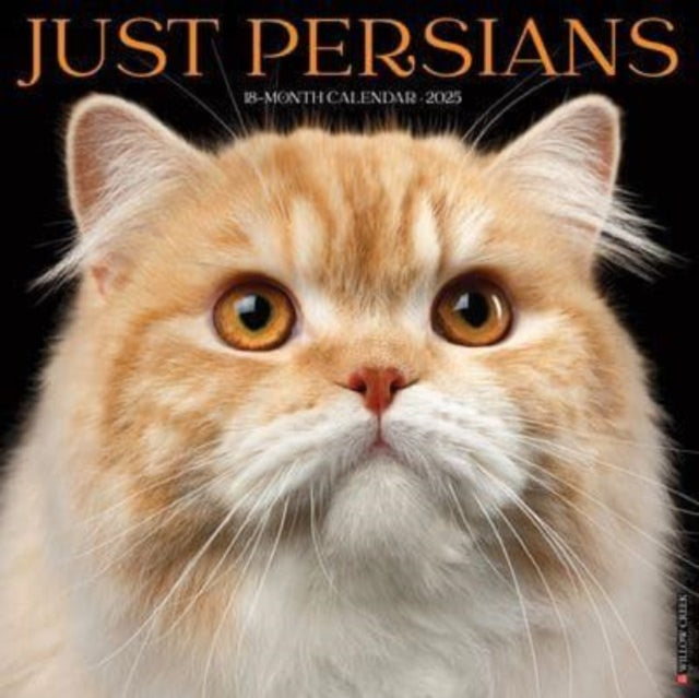 Just Persians 2025 12 X 12 Wall Calendar-9781549246791