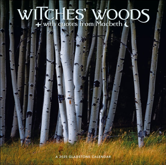 Witches' Woods Square Wall Calendar 2025-9781612235714