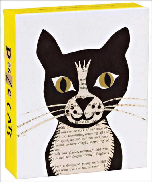 Paste Cats QuickNotes-9781623256074