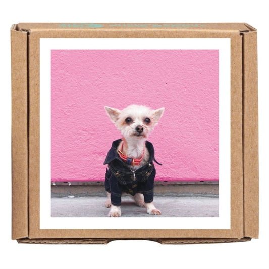 Ella Bean the Dog GreenGift-Notes-9781623256838