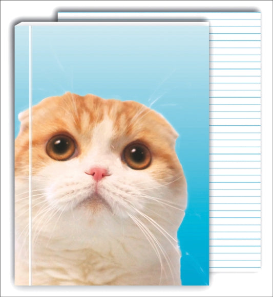 Waffles the Cat GreenJournal-9781623257217