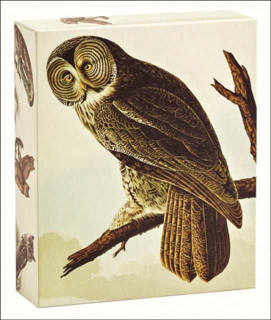 Audubon Owls QuickNotes-9781623258894