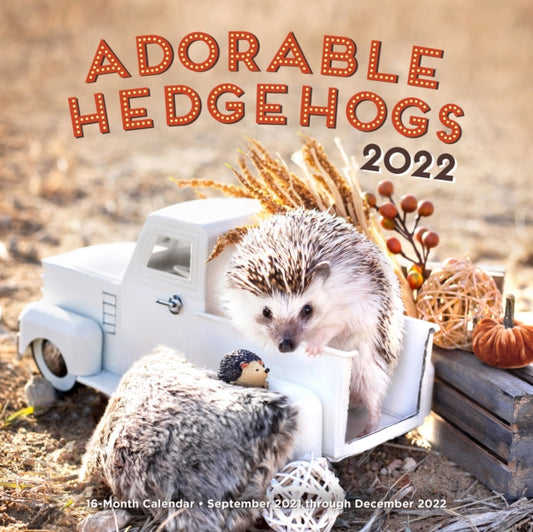 Adorable Hedgehogs 2022 : 16-Month Calendar - September 2021 through December 2022-9781631067723