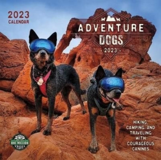 ADVENTURE DOGS 2023 WALL CALENDAR-9781631368585