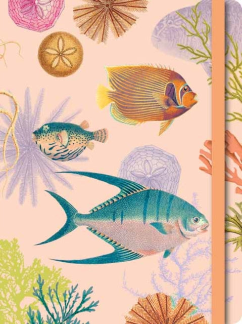 Art of Nature: Under the Sea Softcover Notebook-9781647223830