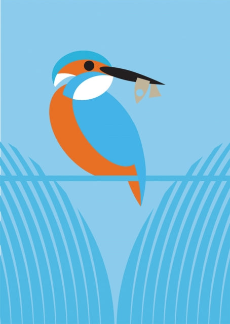 I Like Birds: River, Estuary & Shore : Boxed set of 3 bird-themed journals-9781787133716