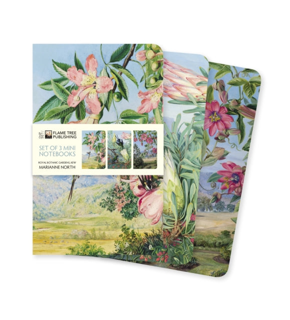 Kew Gardens' Marianne North Set of 3 Mini Notebooks-9781787559165
