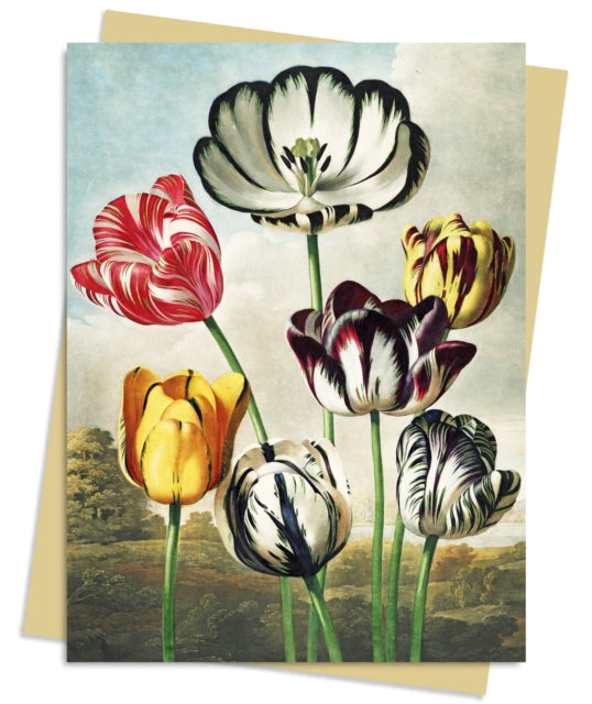 Temple of Flora: Tulips Greeting Card Pack : Pack of 6-9781804173015