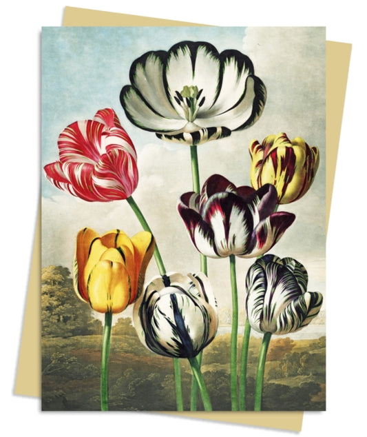 Temple of Flora: Tulips Greeting Card Pack : Pack of 6-9781804173015