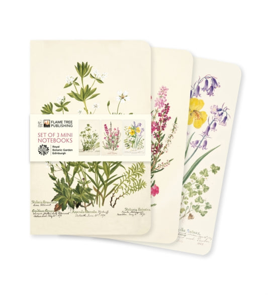 Royal Botanic Garden Edinburgh Set of 3 Mini Notebooks-9781804176429