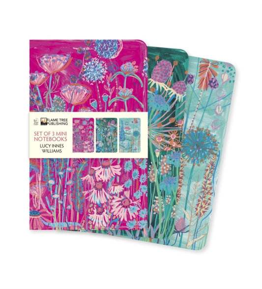 Lucy Innes Williams Set of 3 Mini Notebooks-9781804176436