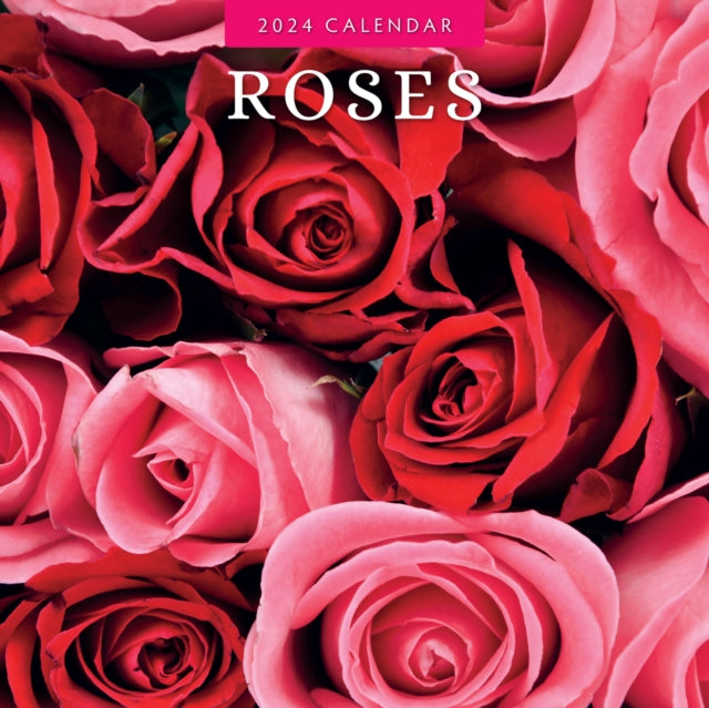 Roses 2024 Square Wall Calendar-9781804422014