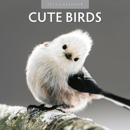Cute Birds 2025 Square Wall Calendar-9781804423806
