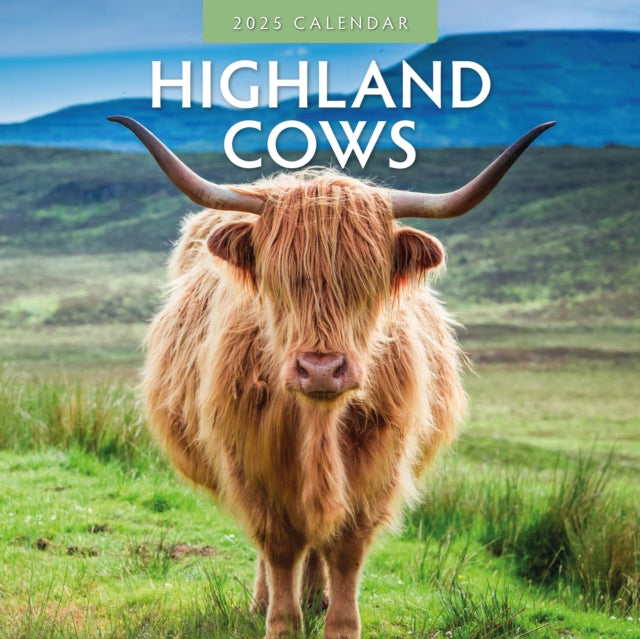 Highland Cows 2025 Square Wall Calendar-9781804423943