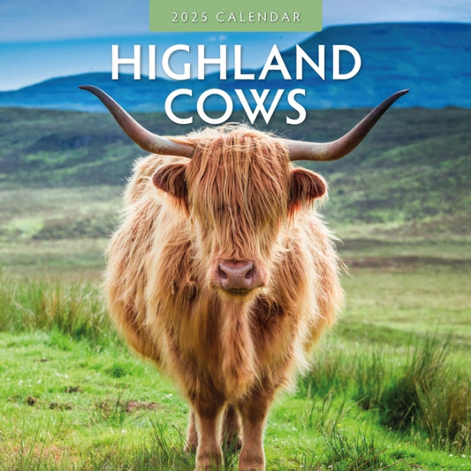 Highland Cows 2025 Square Wall Calendar-9781804423943
