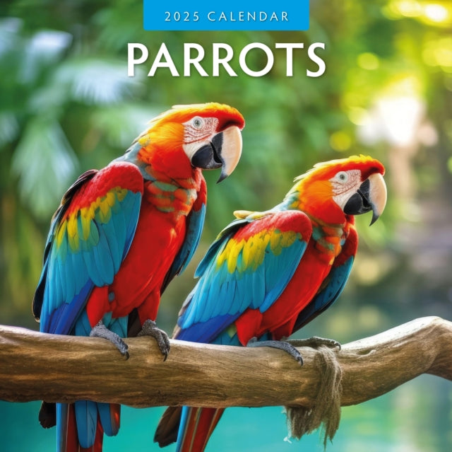 Parrots 2025 Square Wall Calendar-9781804424025