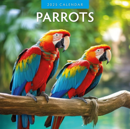 Parrots 2025 Square Wall Calendar-9781804424025