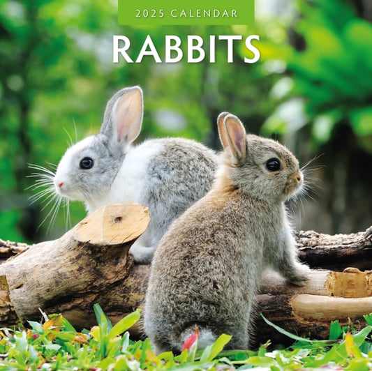 Rabbits 2025 Square Wall Calendar-9781804424063