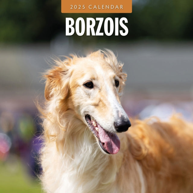 Borzois 2025 Square Wall Calendar-9781804424353