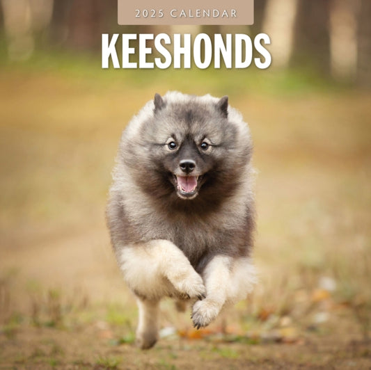Keeshonds 2025 Square Wall Calendar-9781804424797
