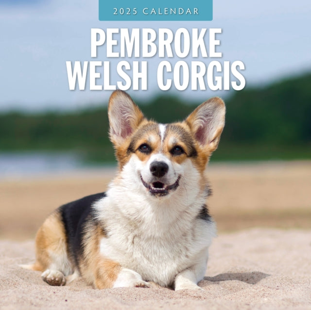 Pembroke Welsh Corgis 2025 Square Wall Calendar-9781804424957
