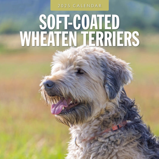 Soft-Coated Wheaten Terriers 2025 Square Wall Calendar-9781804425138