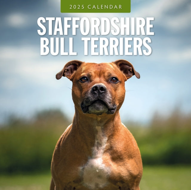 Staffordshire Bull Terriers 2025 Square Wall Calendar-9781804425152