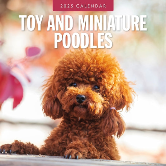 Toy and Miniature Poodles 2025 Square Wall Calendar-9781804425176