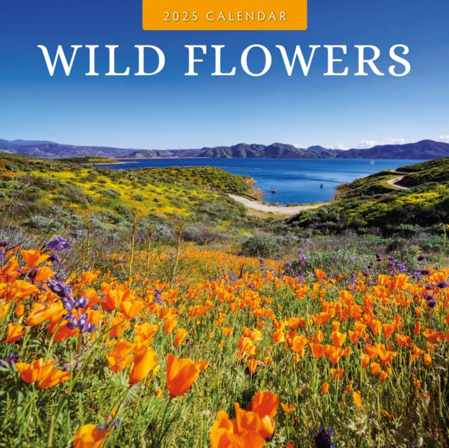 Wild Flowers 2025 Square Wall Calendar-9781804425671