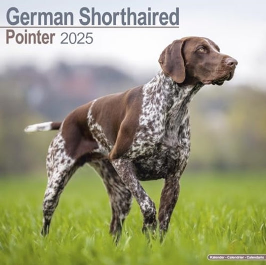 German ShortHair Pointer Calendar 2025  Square Dog Breed Wall Calendar - 16 Month-9781804603482