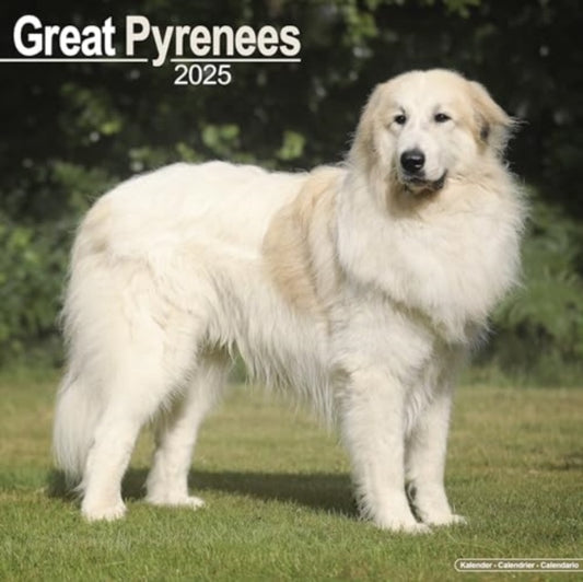 Great Pyrenees Calendar 2025  Square Dog Breed Wall Calendar - 16 Month-9781804603529