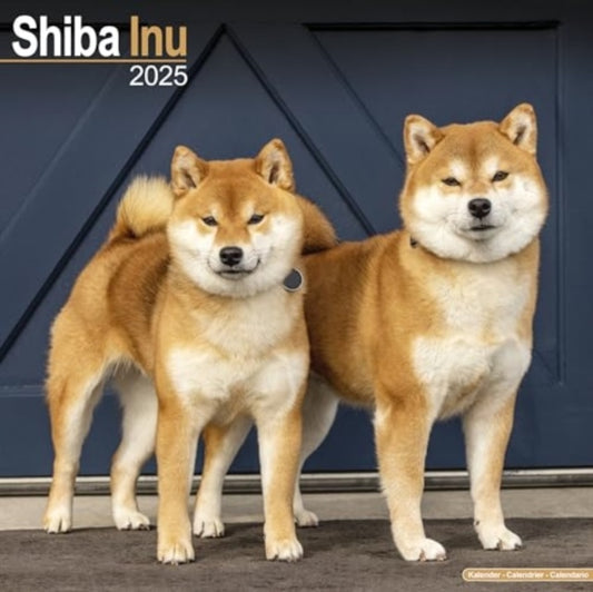 Shiba Inu Calendar 2025  Square Dog Breed Wall Calendar - 16 Month-9781804603901