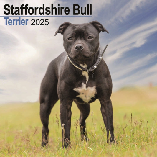 Staffordshire Bull Terrier Square Wall Calendar 2025-9781804603932