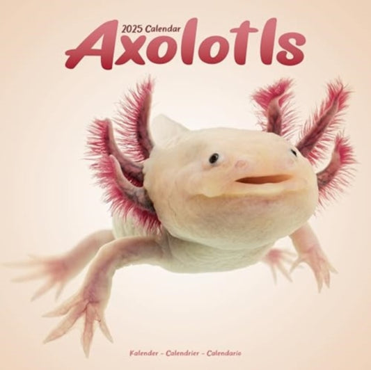 Axolotls Calendar 2025  Square Animal Wall Calendar - 16 Month-9781804604205