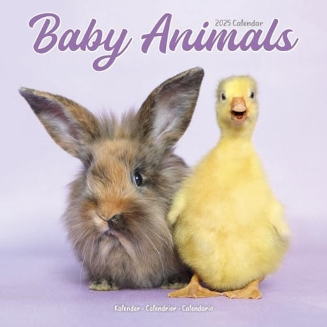 Baby Animals Calendar 2025  Square Animal Wall Calendar - 16 Month-9781804604212