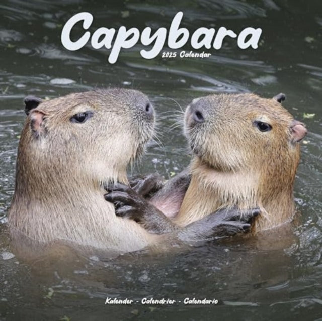 Capybara Calendar 2025  Square Animal Wall Calendar - 16 Month-9781804604236