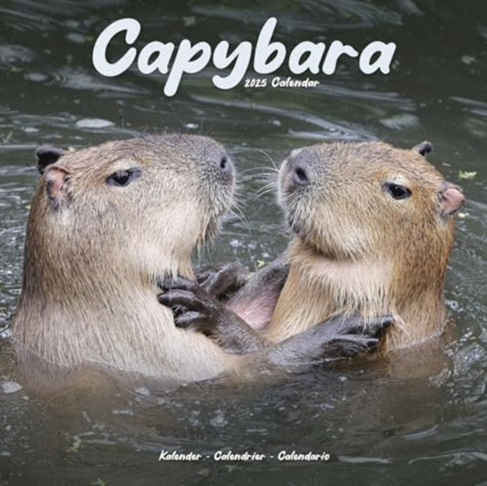 Capybara Calendar 2025  Square Animal Wall Calendar - 16 Month-9781804604236